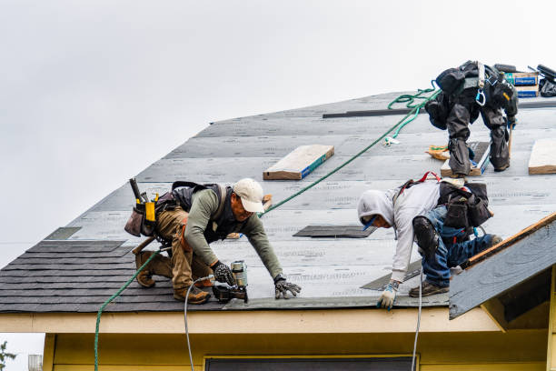 Professional Gutter Installation technician working in Saraland, AL